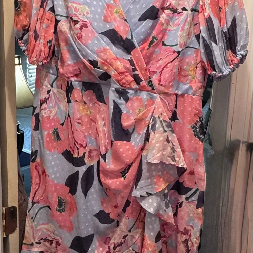 Adrianna Papell Opal Coral Chiffon Dress - Picture 4 of 7